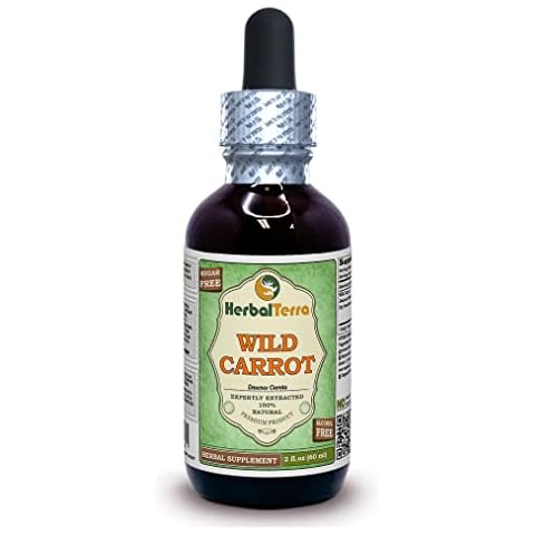 Herbal Terra LLC Wild Carrot (Daucus Carota) Glycerite, supports Vision and Circulation, Dried Top (Seed) Alcohol-Free Liquid Extract 2 oz Cover