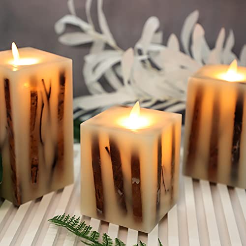 Silverstro Led Flameless Candles With Remote, Amber Moving Flame Birch Led Candles, Real Wax Battery Candles For Home Party Christmas Room Decor, D 3.11" X H 4" 5" 6", Set Of 3 #TOP2