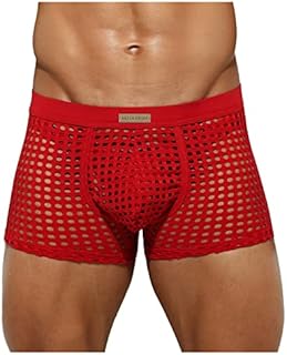 Arjen Kroos Men's Sexy Mesh Boxer Briefs Shorts Hipsters Trunk Underwear