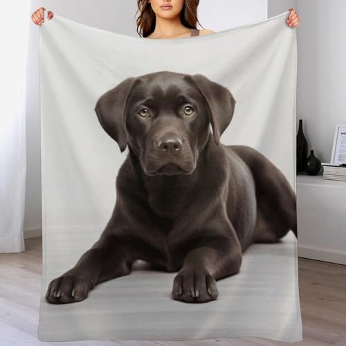 Couverture flanelle imprimé chien jeté de lit ultra doux 177x203