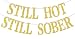 Still Hot Still Sober Banner, Happy Sobriety Party Decor, Celebrate Recovery Party Decorations, Happy Soberversary Banner, Sober Anniversary Decoration, Gold Glitter
