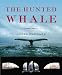 The Hunted Whale