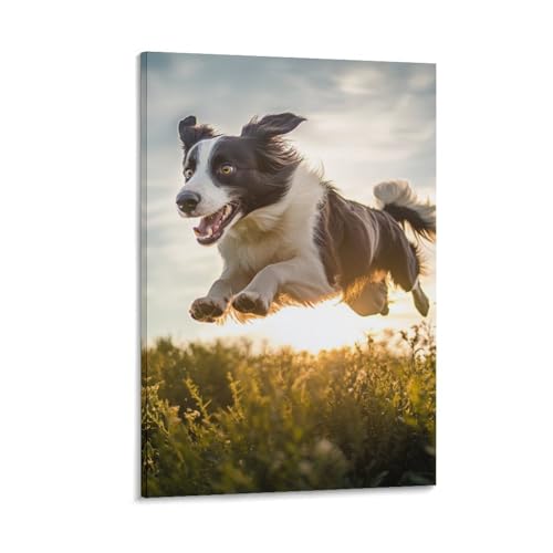 Toile Border Collie 40x60 cm pour célébrer l'amour des animaux