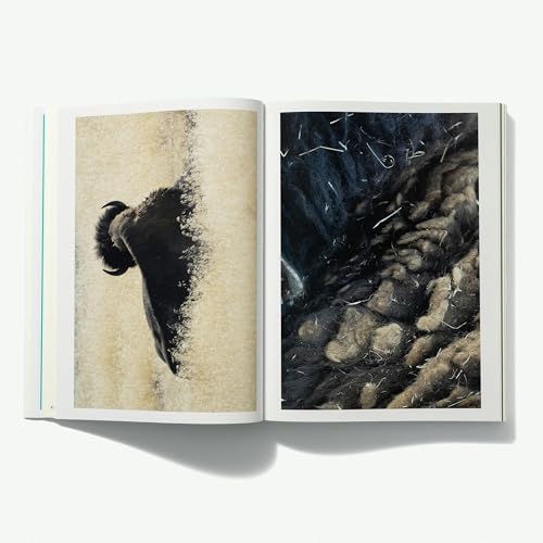 The Heart of Requiem &mdash; A Conversation with Susan Murphy Roshi, Terry Tempest Williams, and Emmanuel Vaughan-Lee