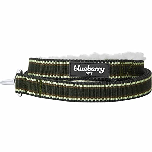 Laisse pour chien Blueberry Pet de qualité supérieure olive M