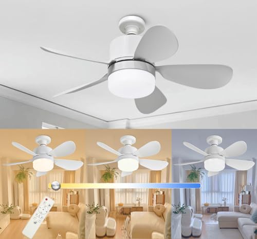 LIXIONG Ceiling Fans with Lights and Remote Light Bulb Fan Light Fan Ceiling
