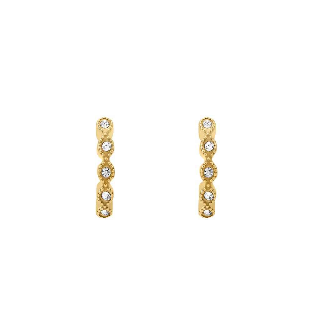 Fossil Women's Gold tone stainless Steel with hoop closure Earrings