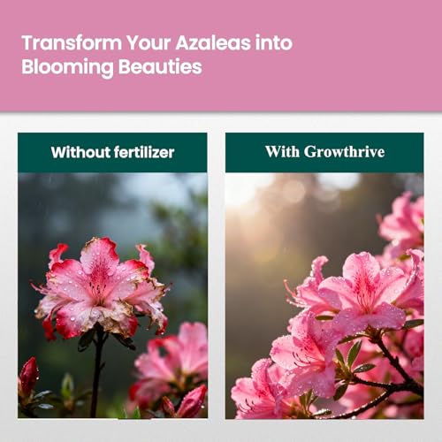 Fertilizante Líquido para Azaleas, 300 ml miniatura 6