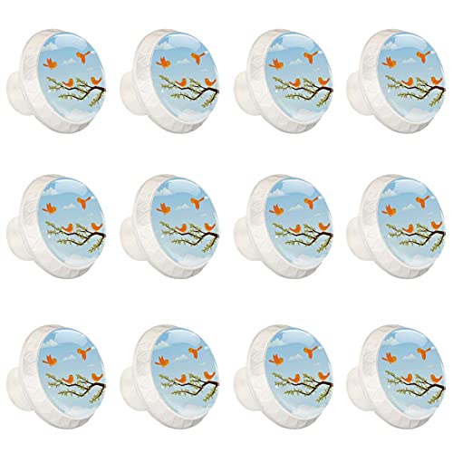 Boutons d'armoires de cuisine rénover poignées placard oiseau usées lot 12