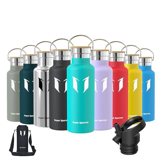 Super Sparrow Bouteille d'eau en Acier Inoxydable - Double paroi isolée sous Vide - Bouche Standard Gourde - 500ml - sans BPA Bouteilles | Menthe