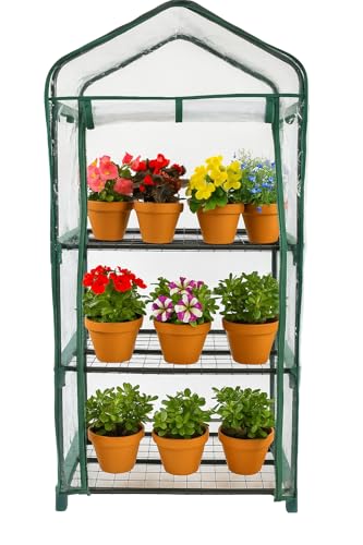 DIVCHI 3 Tier Greenhouse for Indoor & Outdoor Use | Durable Steel Frame | Clear PVC Cover | Ideal for Growing Vegetables, Flowers, Herbs, and Seedlings