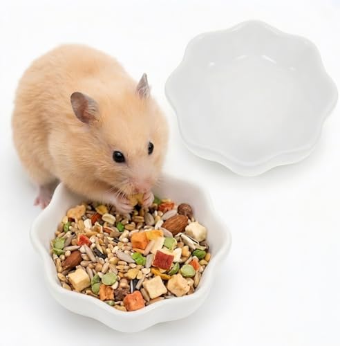SUPVOX 2Pcs Ceramic Hamster Bowls 2.76In Wear-Resistant Non-Tip Small Animal Feeding Bowls for Hamsters Chinchillas Guinea Pigs Pet Feeding Dishes