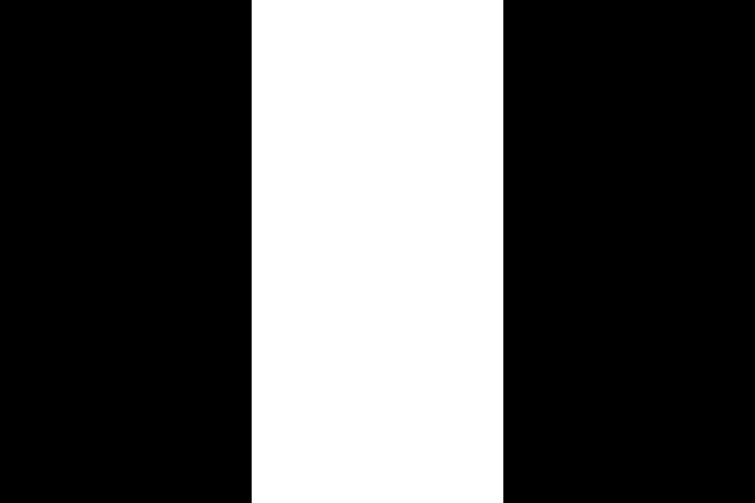 Drapeau XL Borssele pavillon grande taille de commune hollandaise pour mât extérieur
