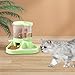 Convenient Pet Feeding Station for Cats and Dogs, Green