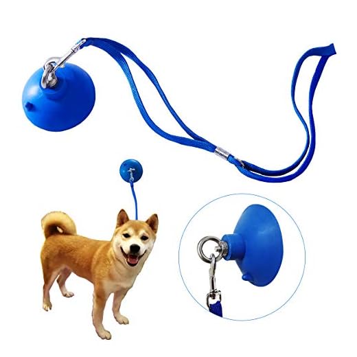 Cimoon Pet Dog Bathing & Grooming Suction Cup with Grooming Loop - Keeps Dog in Bathtub or Shower Tether Straps Restraints to Grooming Tub Walls- Any Size Dog（Blue）