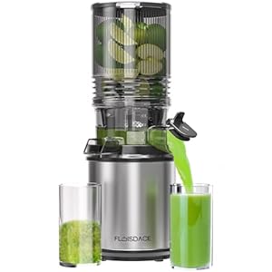 Cold Press Juicer – 6.5″ Extra Large Feed Chute Fit Hands-Free Electric Masticating Juicer Machine, 350W Slow Masticating Juicer Machine for Whole Fruit and Vegetables – Easy Cleanup & Assembly