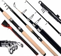 1 Stück Teleskoprute Kork Navigator 3,60m 60-120g