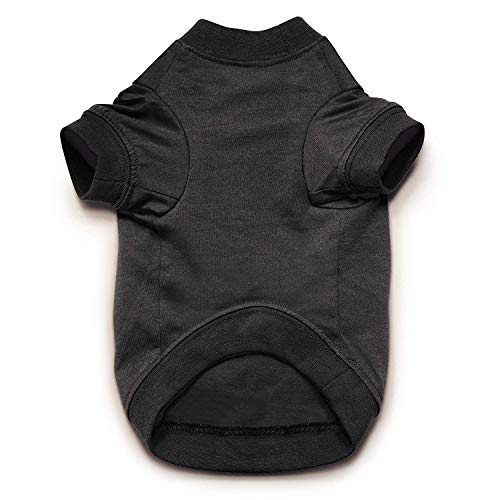 Zack & Zoey Basic Tee Shirt for Dogs, 20" Large, Black