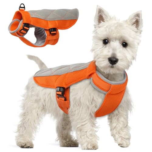 Hjumarayan Gilet Rafraichissant pour Chien, Manteau Confortable de Refroidissement Respirant Harnais pour Journées Chaudes d'Eté, Orange S