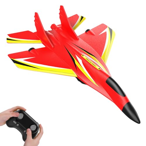 Vecktodisy RC Airplane