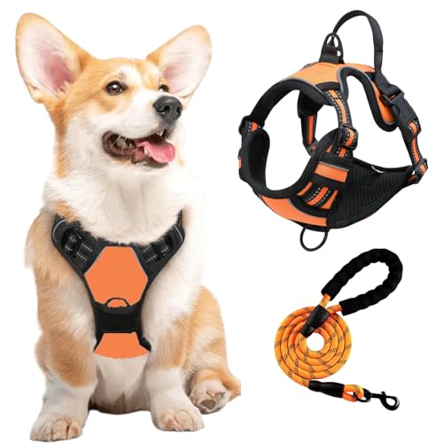 DICOCO n[lX Ȃ  t h~ ^ ^ U L  n[lX [h y L xXg ȒPE  Lpn[lX o ` pn[lX iIWASj