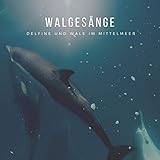 Walgesänge – Delfine und Wale im Mittelmeer
