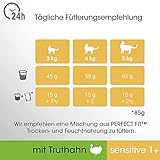 Perfect Fit Sensitive 1+ – Trockenfutter für erwachsene, sensible Katzen ab 1 Jahr – Reich an Truthahn – Ohne Weizen und Soja – Unterstützt die Verdauung – 6 x 750 g