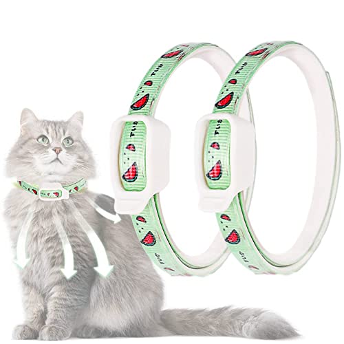 amazon.ae Best Sellers The best items in Cat Collars based on Amazon