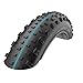 Schwalbe Jumbo Jim Addix Evolution Line Pneu de vélo Mixte, Noir, 26x4.80/120-559