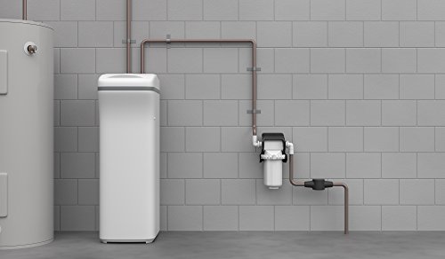 Image of EcoPure WHARF30 Whole Home Pivotal Replacement Water Filter Fits EPWHE System NSF Certified 30 Micron - Reduces Sediment, Sand, Dirt & Rust - 6-Month Life Easy, Mess-Free Changes (Pack of 2)