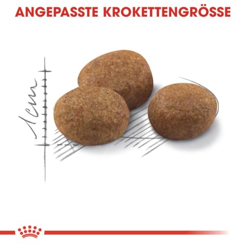 ROYAL CANIN STERILISED 7+ Trockennahrung für Katzen – 0.4 kg