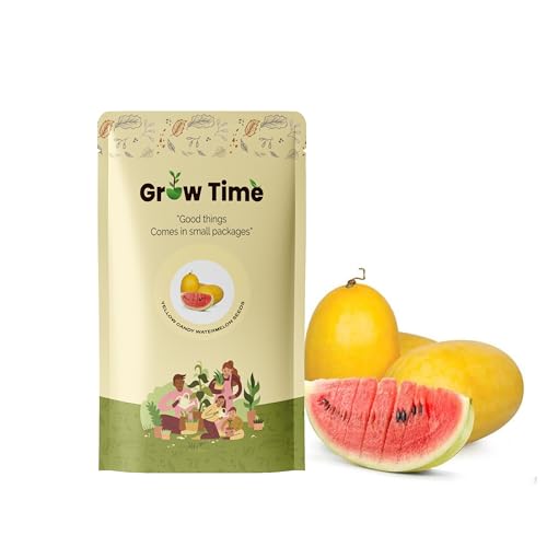 Growtime Yellow Candy Vegetable Seeds, Vegetable Seed for Home Gardening, Vegetable Planting Seeds for Kitchen, Yellow Candy Seed (Pack of 2g)