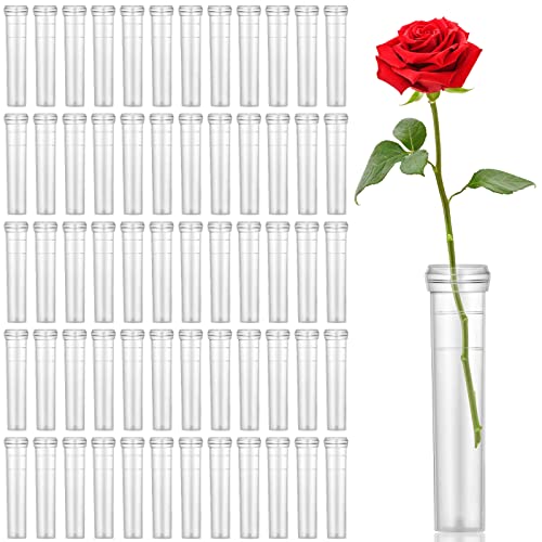 Flower Water Tubes Reusable Plastic Vials for Flower Arrangements Floral Tubes with Cover Fresh Florist Supplies for Flower Decoration Arrangement Transparent Preserving, 3 x 0.7 Inch (300, Clear)