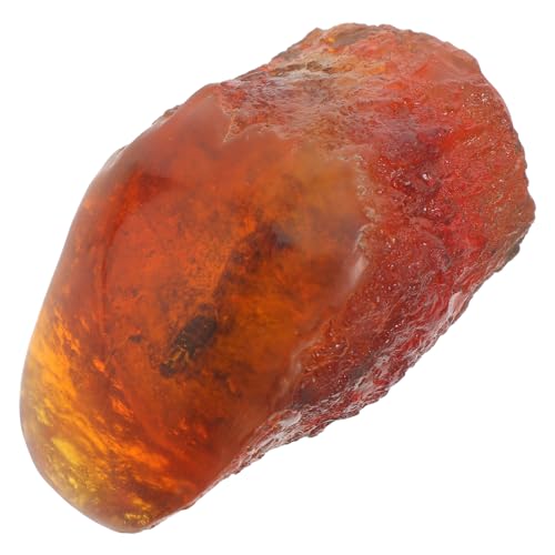 Anneome Amber Sample Amber Insect Amber Stones Insect Sample Unique Stones Insect Ornament Insect Stone Specimen Insect Amber Specimen Insect Decor Amber Adornment Home Decor Resin