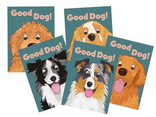 Pet Report Card Set, Dog Boarding & Pet Sitter Forms, Cute Dog Walker Report Card, Dog Lovers Card, Border Collie, Multi-Dog Pack of 25 Cards
