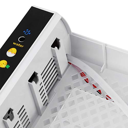Egg Hatcher, Plastic Egg Incubator 24 Eggs Automatic Temperature Control Incubators Perfect For Chickens/Ducks/Goose/Birds Or Other Poultry18X7X12Inch #TOP2