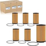 FOCUSFILTER 4040481C1 OEM Grade Fuel Filter, Compatible with International LT625 RH613 Series,