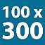 100 x 300 mm