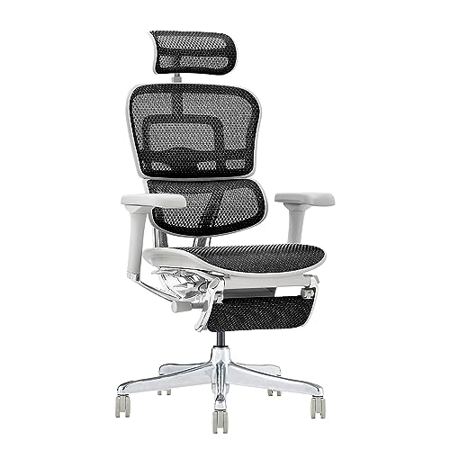 エルゴヒューマン Ergohuman PRO2 ottoman EHP2-LPL-GF