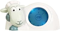 Algopix Similar Product 13 - Zazu Kids Sam Sleep Trainer Alarm Clock