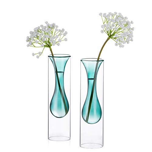 Glasseam Vase en Verre Coloré, Lot De 2 Vases en Verre à Double Paroi, Décor en Cristal Créatif Décoratif Idéal pour Le Paysage De Table Lors De Mariages, événements, Fêtes