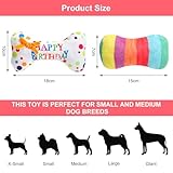 VOSSOT 2 Stück Haustier Hund Geburtstag Knochen Spielzeug Set, Spielzeug für Hunde Langlebiges Kauspielzeug Hundetorte Geburtstag, Spielzeug Hund für Geburtstag Geschenk für Kleine und Mittlere Hunde