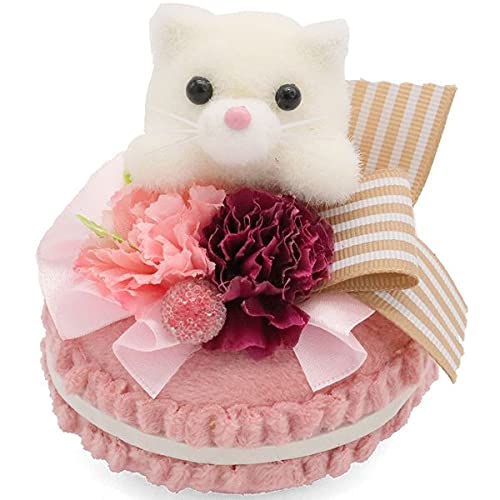 ̓ J[l[V ԑ ˂ }J Mtg 2025 }JAj}Zbg t[Mtg v[g 30 40 50 ̎q    j j Ԃ Mtg \  킢 蕨 (L }J)