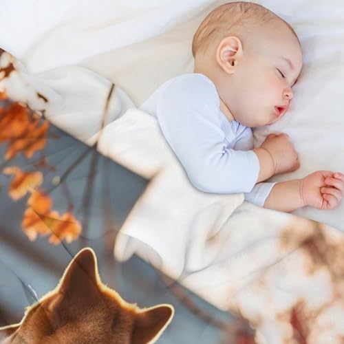 Manta suave para perro que protege el sofá de pelos y frío 4