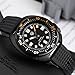 Imagen de watchdives WD6105 Reloj de Buceo Automático para Hombre