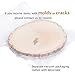 4 Pack Large Natural Wood Slices Oval Rustic Slabs Unfinished Wood Sanded Ellipse 8”-10” for Wood Burning Wedding Centerpiece Table Birthday Party Baby Shower Decoration Craft