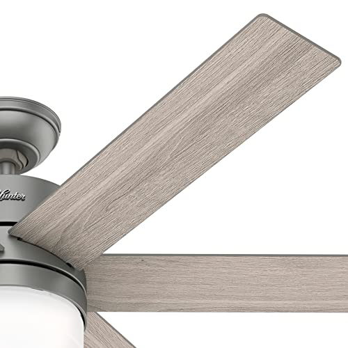 Hunter Fan 54 Inch Casual Matte Silver Indoor Ceiling Fan With Led Light Kit And Remote Control (Renewed) #TOP6