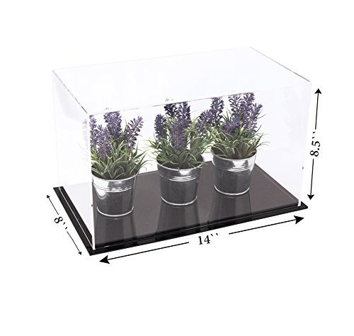 Better Display Cases Versatile Acrylic Clear Display Case - Medium Rectangle Box With Black Base 14" X 8" X 8.5" (A011-Cds) #TOP1