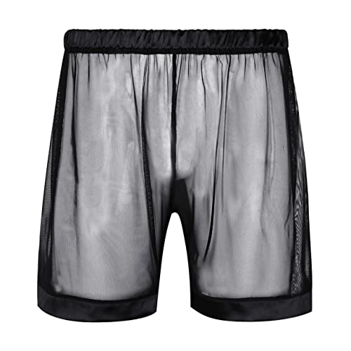 Men's Sheer Mesh Loose Boxer Shorts See Through Swimming Trunks Bottoms Breathable Panty Underwear