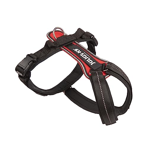 Julius-K9 JK9 Sport Hundegeschirr, Größe: XL, Rot